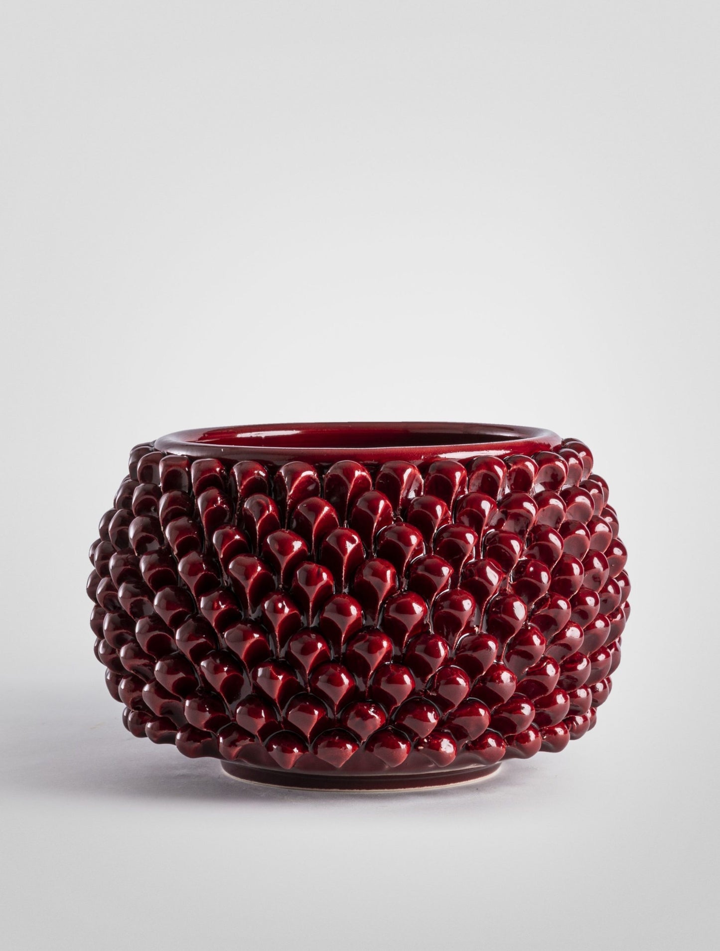 VASO PIGNA BORDEAUX CON PIANTA