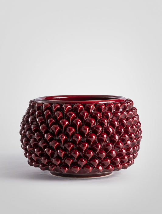 VASO PIGNA BORDEAUX CON PIANTA